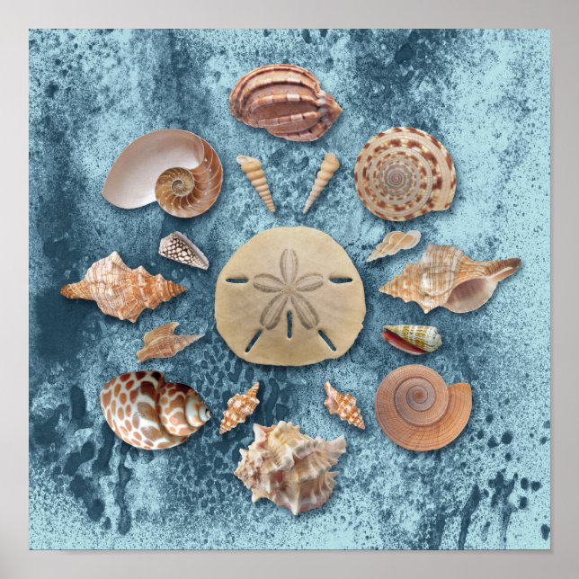 Póster Seashells Collection Mandala (Frente)