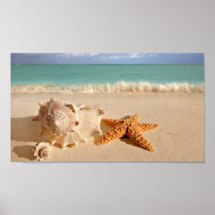 Póster Seashells en el poster de la playa