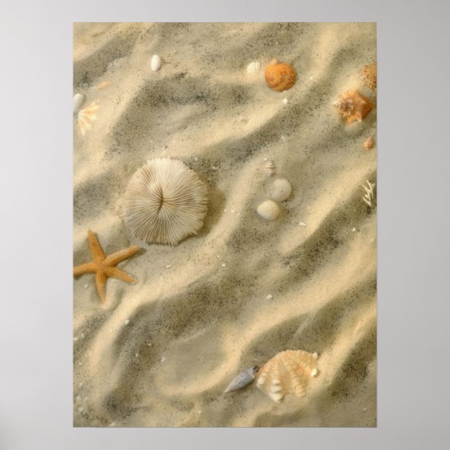 Póster Seashells In Sand (Frente)