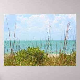 Póster Seaside Sanibel Poster