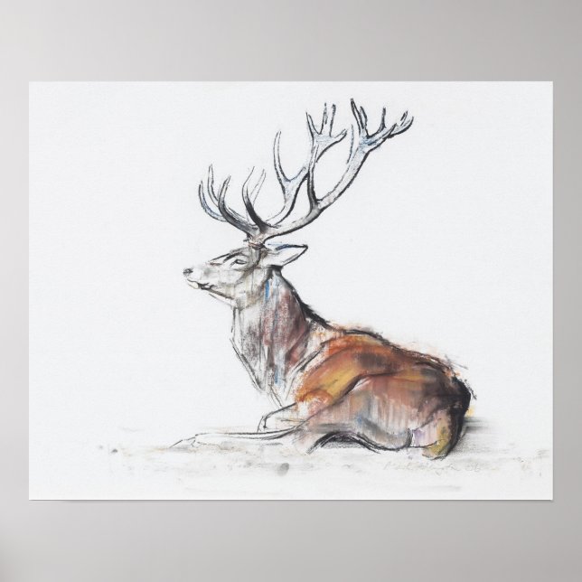 Póster Seated Stag 2006 (Frente)