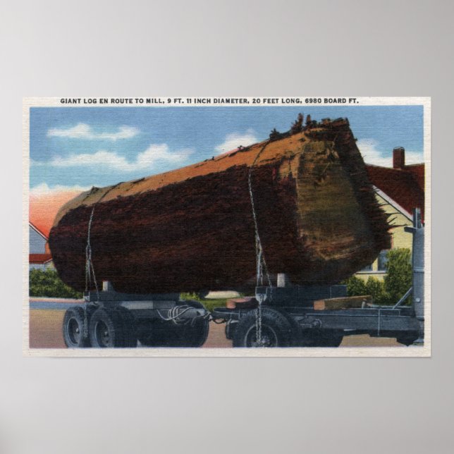 Póster Seattle, Washington Giant Log en ruta a Mill (Frente)