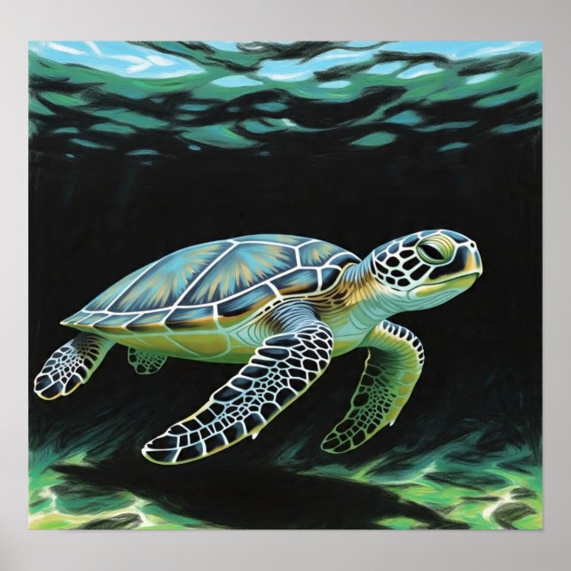 Póster SeaTurtlesMatter (Frente)