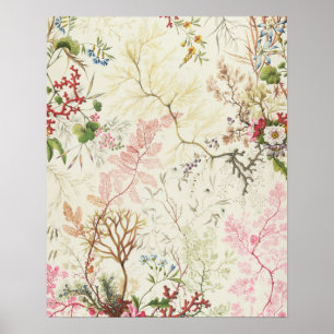 Póster Seaweed design for silk material (w/c on paper)