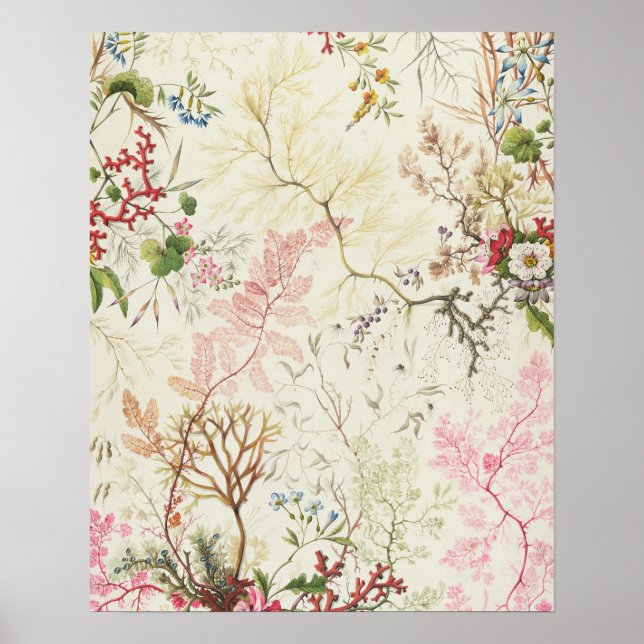 Póster Seaweed design for silk material (w/c on paper) (Frente)
