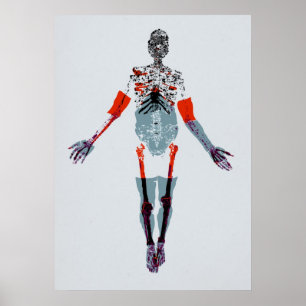 Póster Sebastian