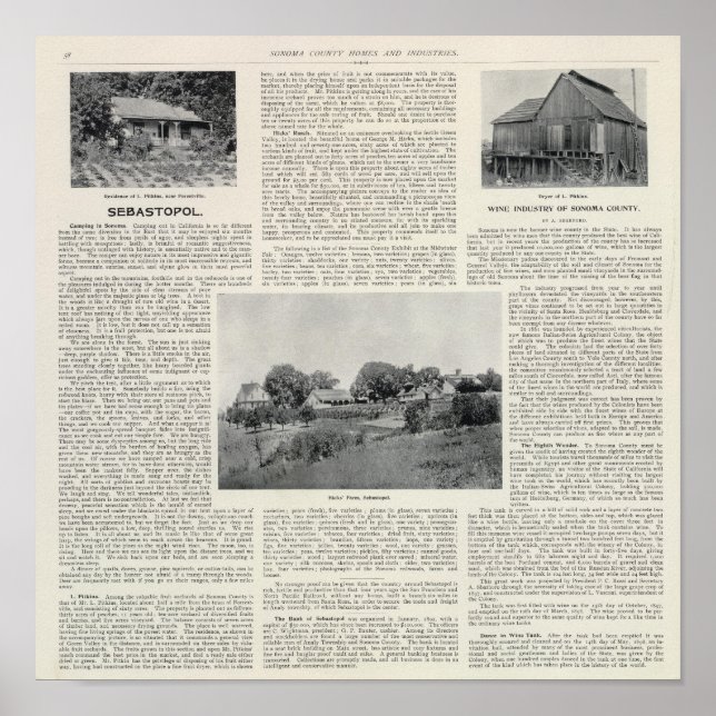 Póster Sebastopol, California (Frente)