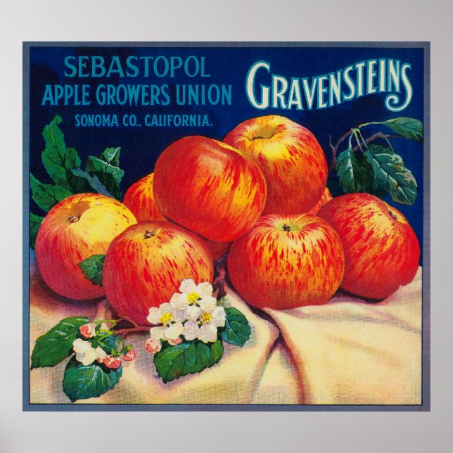 Póster Sebastopol Gravensteins Apple LabelSonoma, CA (Frente)