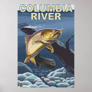 Póster Sección representativa de la trucha de asesino