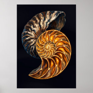 Póster Sección transversal de la concha de Nautilus - Esp
