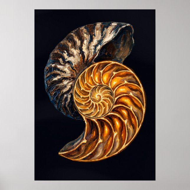 Póster Sección transversal de la concha de Nautilus - Esp (Frente)