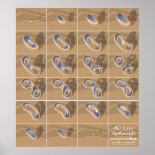 Póster sección transversal de vuelo 4D torus