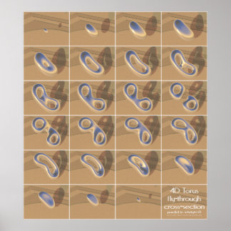 Póster sección transversal de vuelo 4D torus