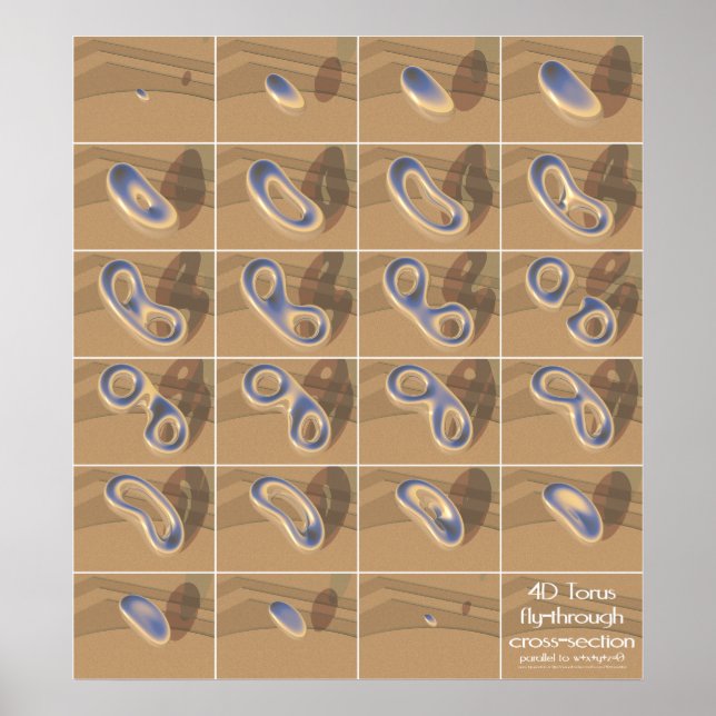 Póster sección transversal de vuelo 4D torus (Frente)