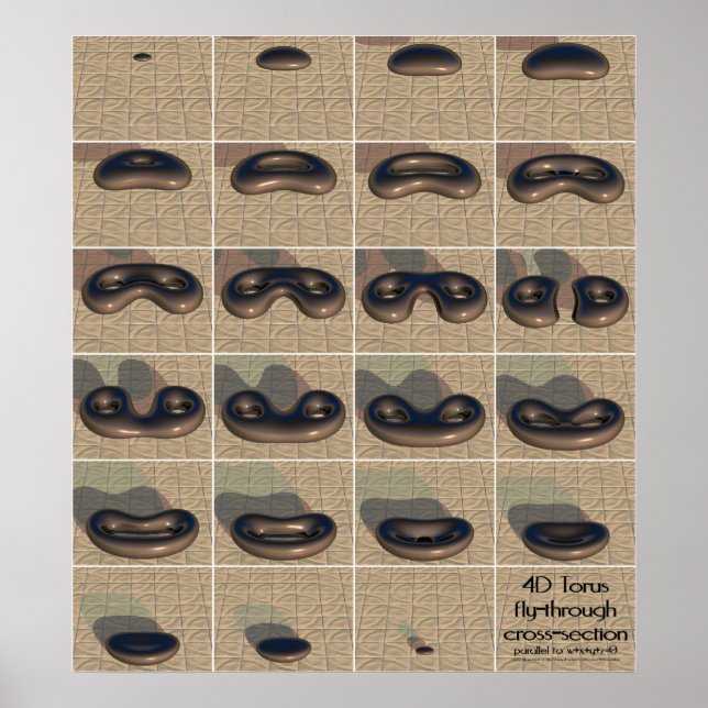 Póster sección transversal de vuelo 4D torus (Frente)