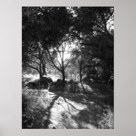 Póster Seclusion Poster