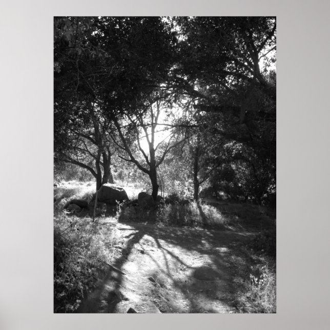 Póster Seclusion Poster (Frente)