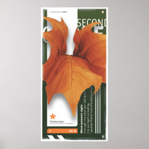 Póster SECOND SEASON (póster)
