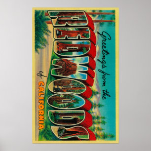 Póster Secoyas, California - escenas grandes de la letra
