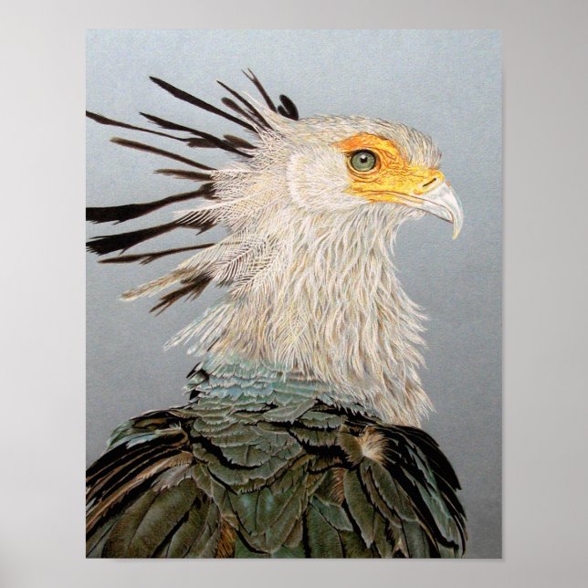 Póster Secretario (Frente)