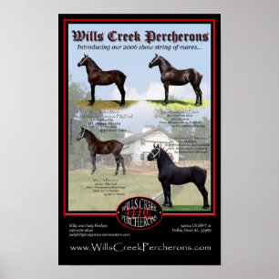 PÓSTER SECUENCIA DE LA DEMOSTRACIÓN DE LA CALA PERCHERONS