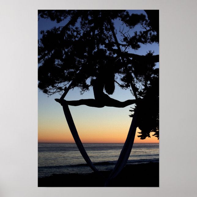 Póster Seda aérea en vertical al atardecer (Frente)