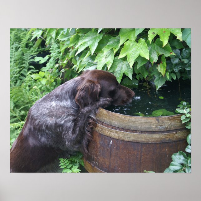 Póster Sediento después de trabajo (Frente)