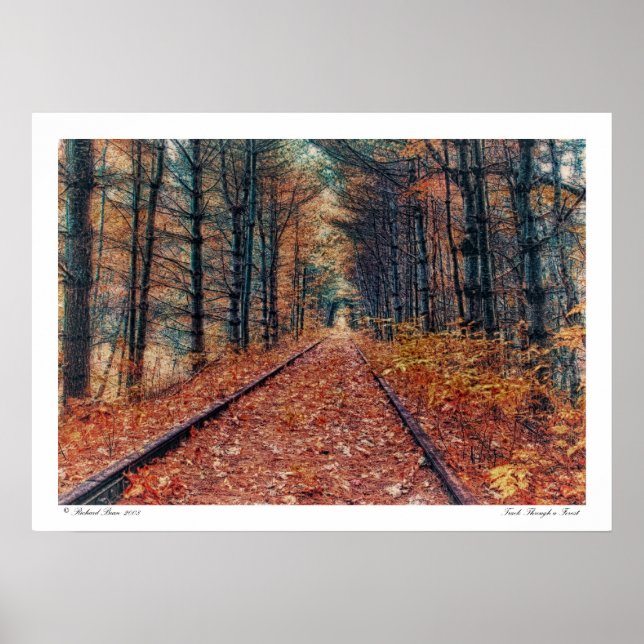 Póster Seguimiento a través de un Poster forestal (Frente)