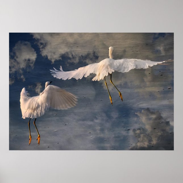 Póster Seguir a mi Poster (Frente)
