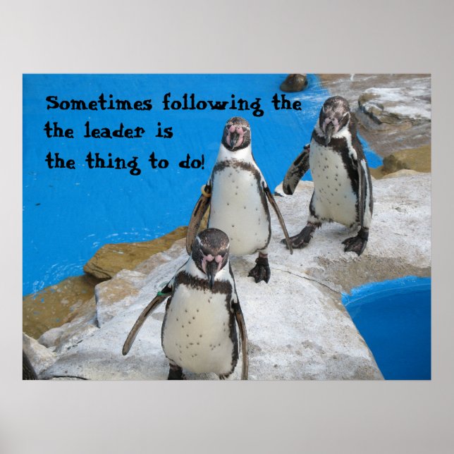 Póster Seguir al líder (Frente)