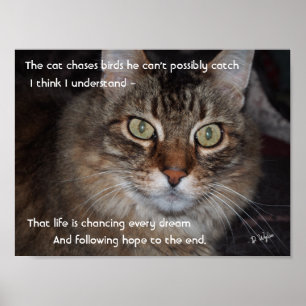 Póster Seguir persiguiendo sueños