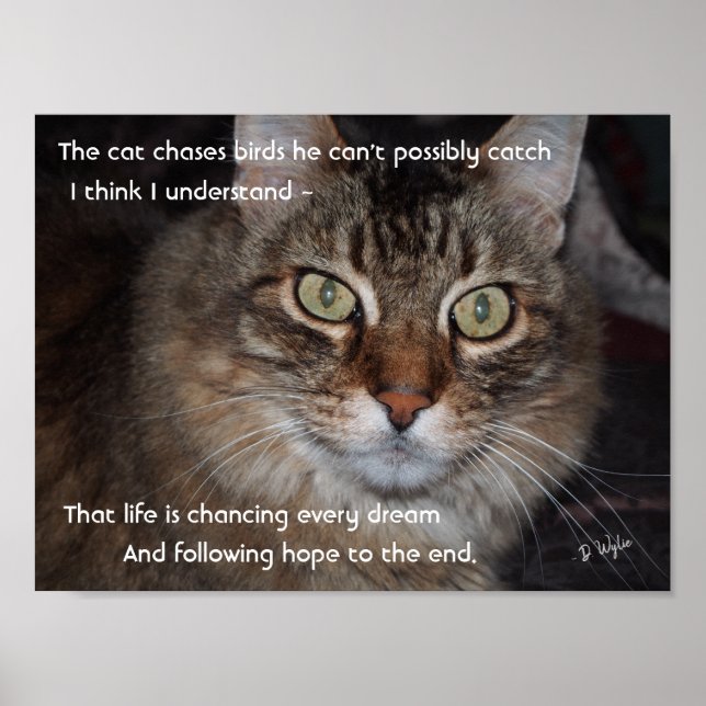 Póster Seguir persiguiendo sueños (Frente)