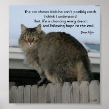 Seguir persiguiendo sueños