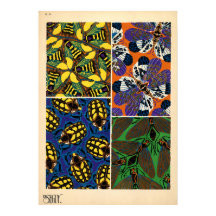 Seguy Vintage Art Noveau Insect Pattern