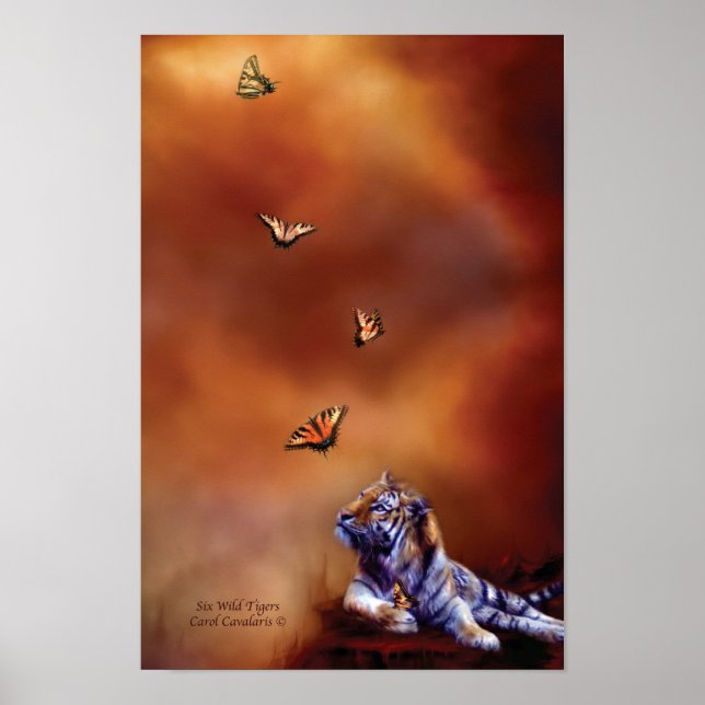 Póster Seis tigres salvajes Poster/Imprimir (Frente)