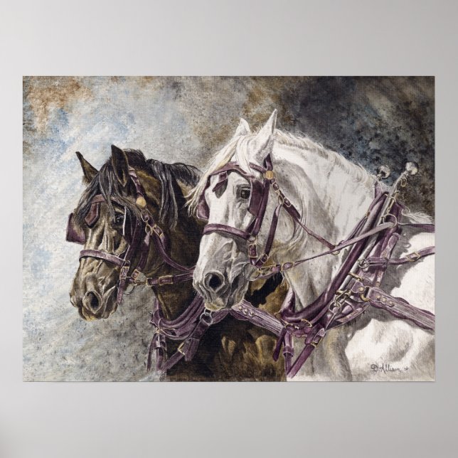 Póster Selección de caballos de Borrador (Frente)
