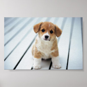 PÓSTER SELECCIÓN EN ALGUIEN SU PROPIO TAMAÑO