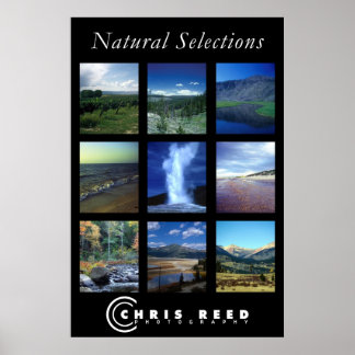 Póster Selecciones naturales