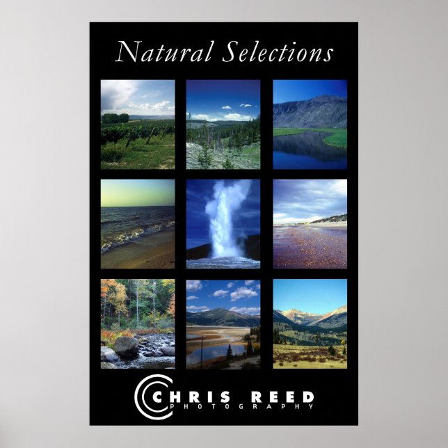 Póster Selecciones naturales (Frente)