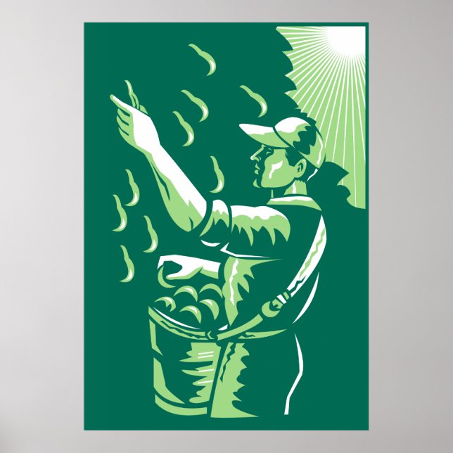 Póster Selector de frutas para trabajadores agrícolas (Frente)