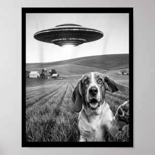 Póster Selfie Con Extraterrestre Ovni Divertido Apostar P