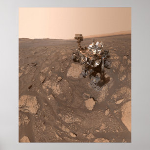 Póster Selfie de curiosidad en la ubicación de Mary Annin