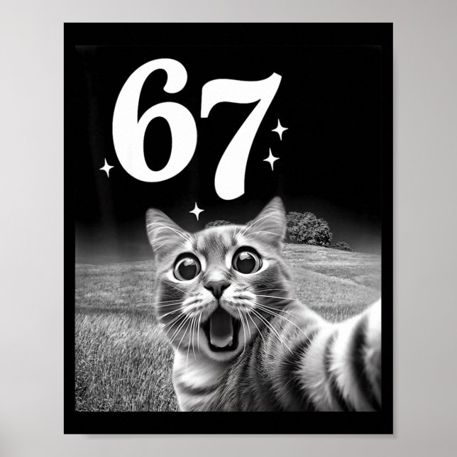 Póster Selfie de gato con 67 Meme gatos divertidos gráfic (Frente)