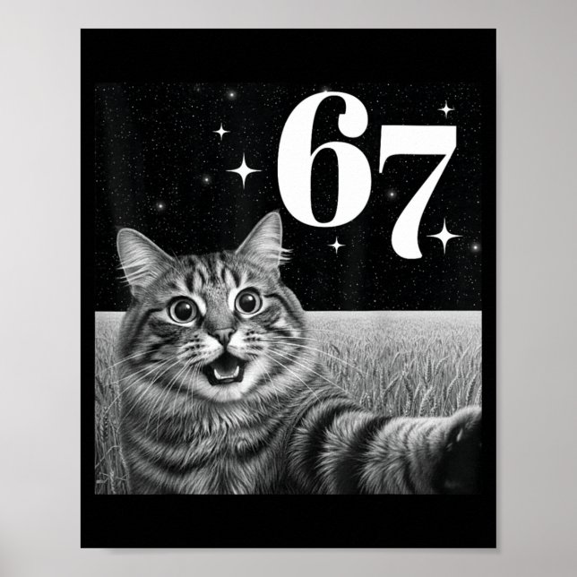 Póster Selfie de gato con 67 meme gatos divertidos gráfic (Frente)