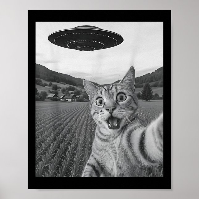 Póster Selfie de gato con Alien Ufo Funny Cat Funny Alien (Frente)