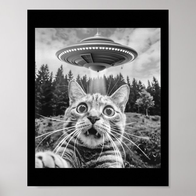 Póster Selfie de gato con ovni alienígena divertido para  (Frente)