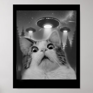 Póster Selfie De Gato Con Ufos