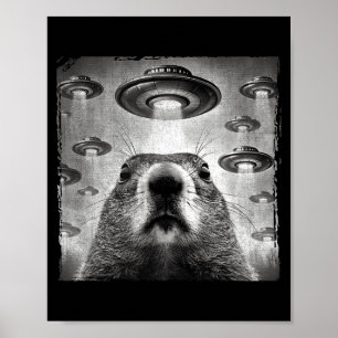 Póster Selfie Divertida de Marmota con Ovnis Alien Marmot