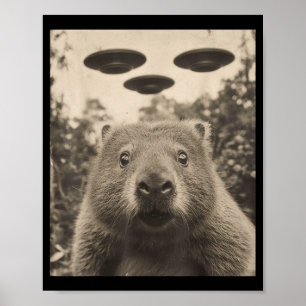 Póster Selfie divertida de marmota con ovnis Marmota rara