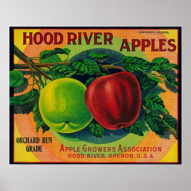 Póster Sello de canal de Apple del río Hood, OR (Frente)